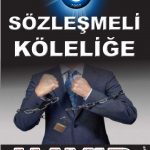 100-ham-jpg-jpg-jpg