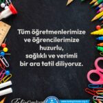 18098814139754643_turkegitimsen