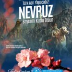 18458361676099173_turkegitimsen