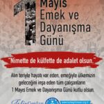 18087123857353929_turkegitimsen