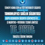 17906054007423965_turkegitimsen