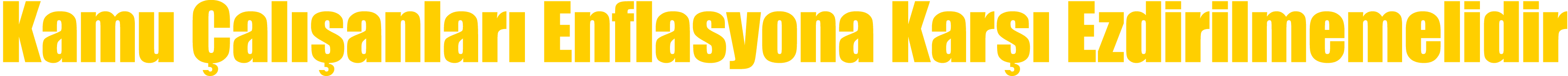 Kamu al  anlar  Enflasyona Kar   Ezdirilmemelidir