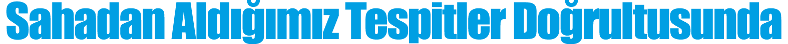 Sahadan Aldığımız Tespitler Doğrultusunda