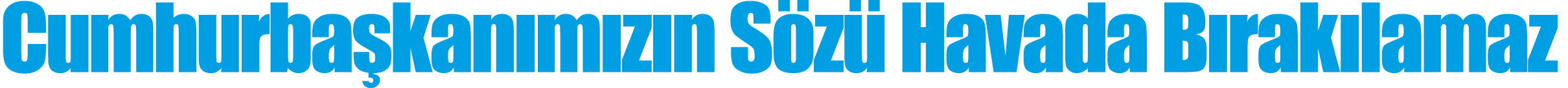 Cumhurbaşkanımızın Sözü Havada Bırakılamaz 