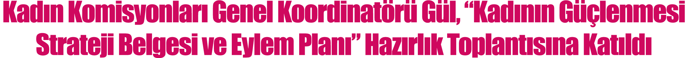 Kadın Komisyonları Genel Koordinatörü Gül,  Kadının Güçlenmesi Strateji Belgesi ve Eylem Planı  Hazırlık Toplantısına   