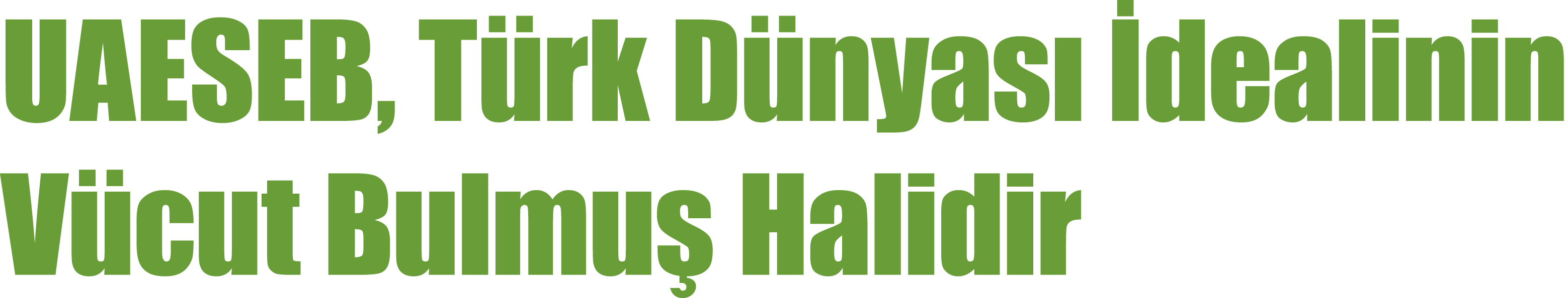 UAESEB, Türk Dünyası İdealinin Vücut Bulmuş Halidir