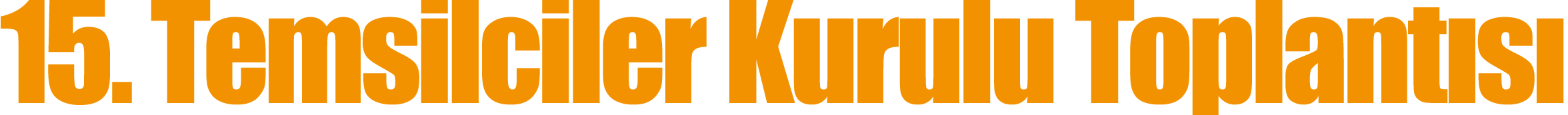 15  Temsilciler Kurulu Toplantısı