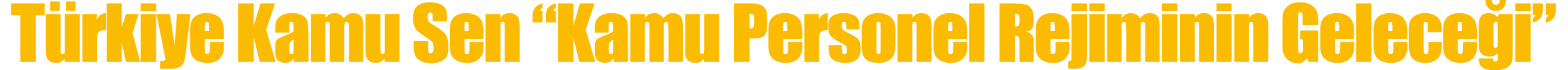 Türkiye Kamu Sen  Kamu Personel Rejiminin Geleceği  
