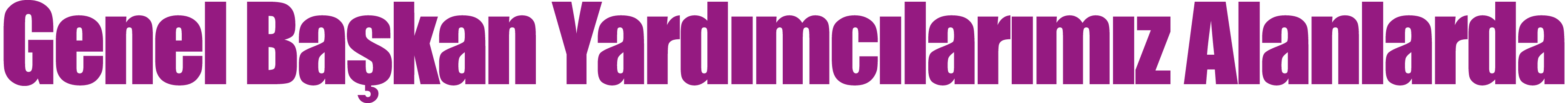 Genel Başkan Yardımcılarımız Alanlarda