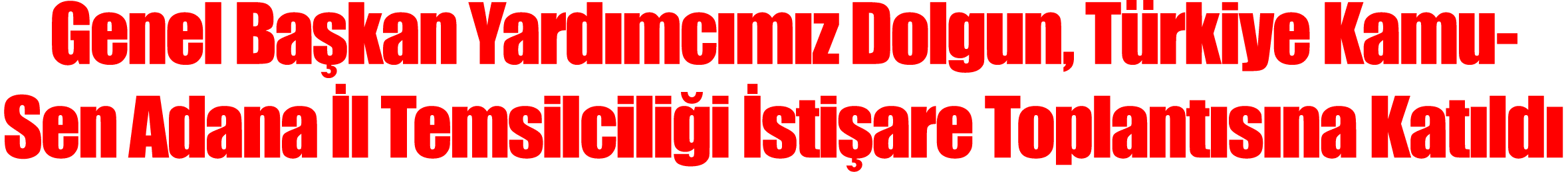 Genel Başkan Yardımcımız Dolgun, Türkiye Kamu-Sen Adana İl Temsilciliği İstişare Toplantısına Katıldı