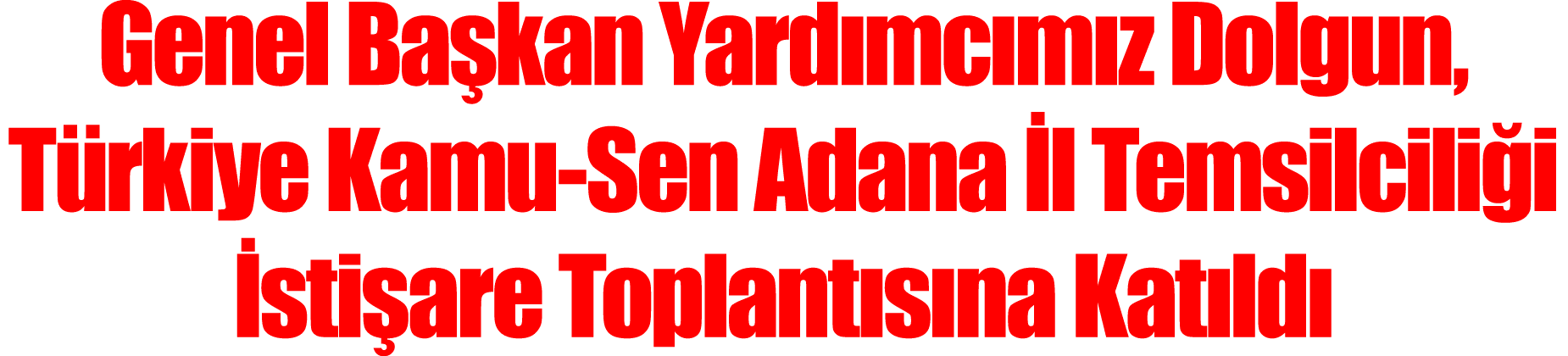 Genel Başkan Yardımcımız Dolgun, Türkiye Kamu-Sen Adana İl Temsilciliği İstişare Toplantısına Katıldı