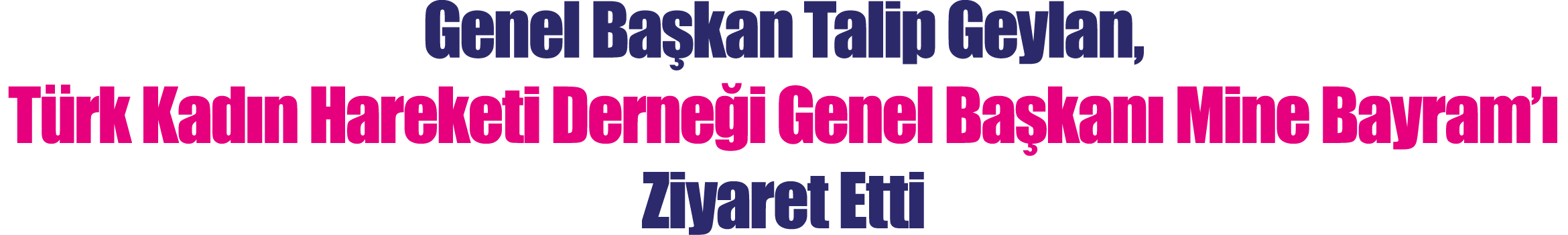 Genel Başkan Talip Geylan, Türk  Kadın Hareketi Derneği Genel Başkanı Mine Bayram ı Ziyaret Etti
