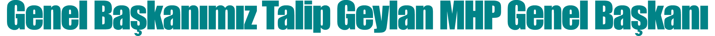 Genel Ba kan m z Talip Geylan MHP Genel Ba kan 