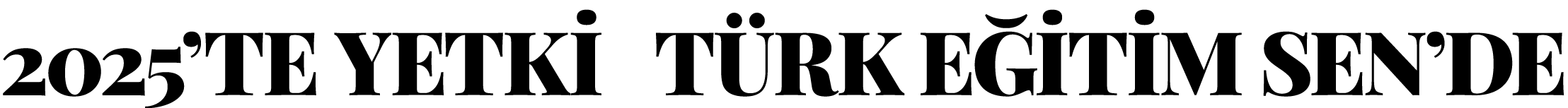 2025 TE YETKİ  TÜRK EĞİTİM SEN DE