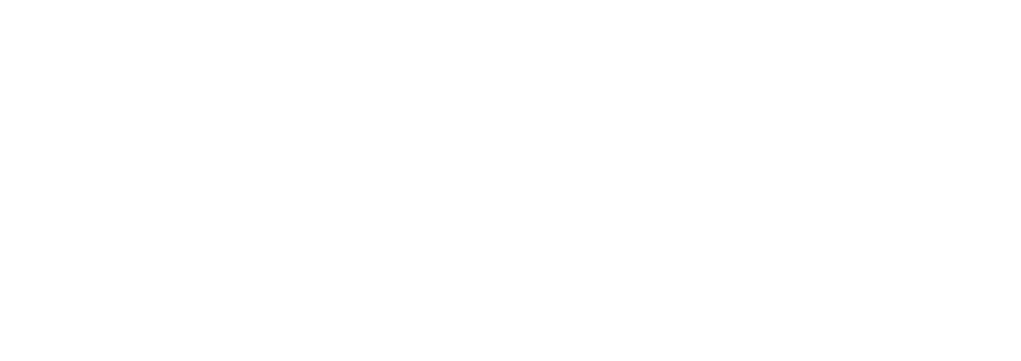 GİRİŞİMLERİMİZ SONUÇ VERDİ, SERVİS HİZMETİ SORUNU ÇÖZÜLDÜ 