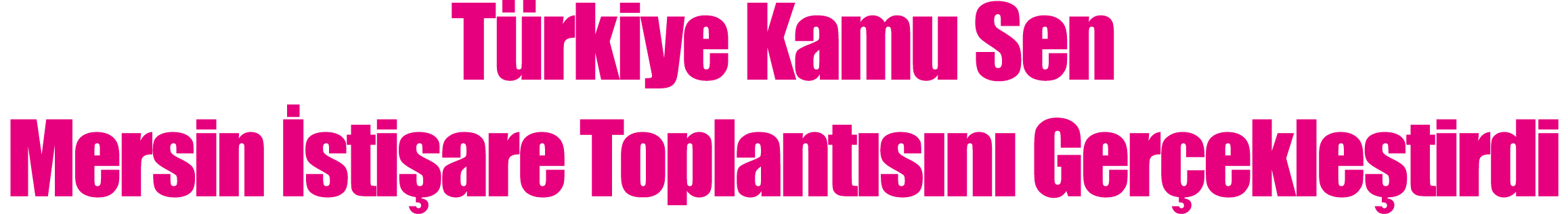 Türkiye Kamu Sen Mersin İstişare Toplantısını Gerçekleştirdi