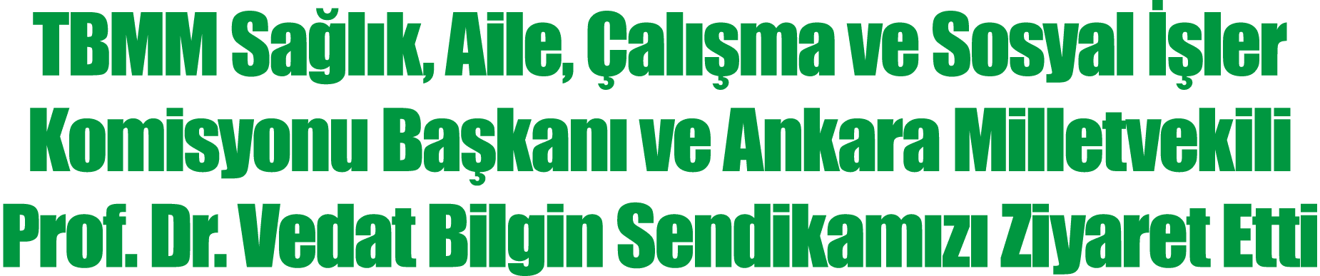 TBMM Sağlık, Aile, Çalışma ve Sosyal İşler Komisyonu Başkanı ve Ankara Milletvekili Prof  Dr  Vedat Bilgin Sendikamız   