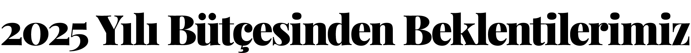 2025 Yılı Bütçesinden Beklentilerimiz