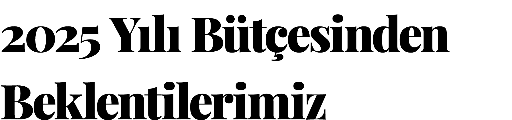 2025 Yılı Bütçesinden Beklentilerimiz