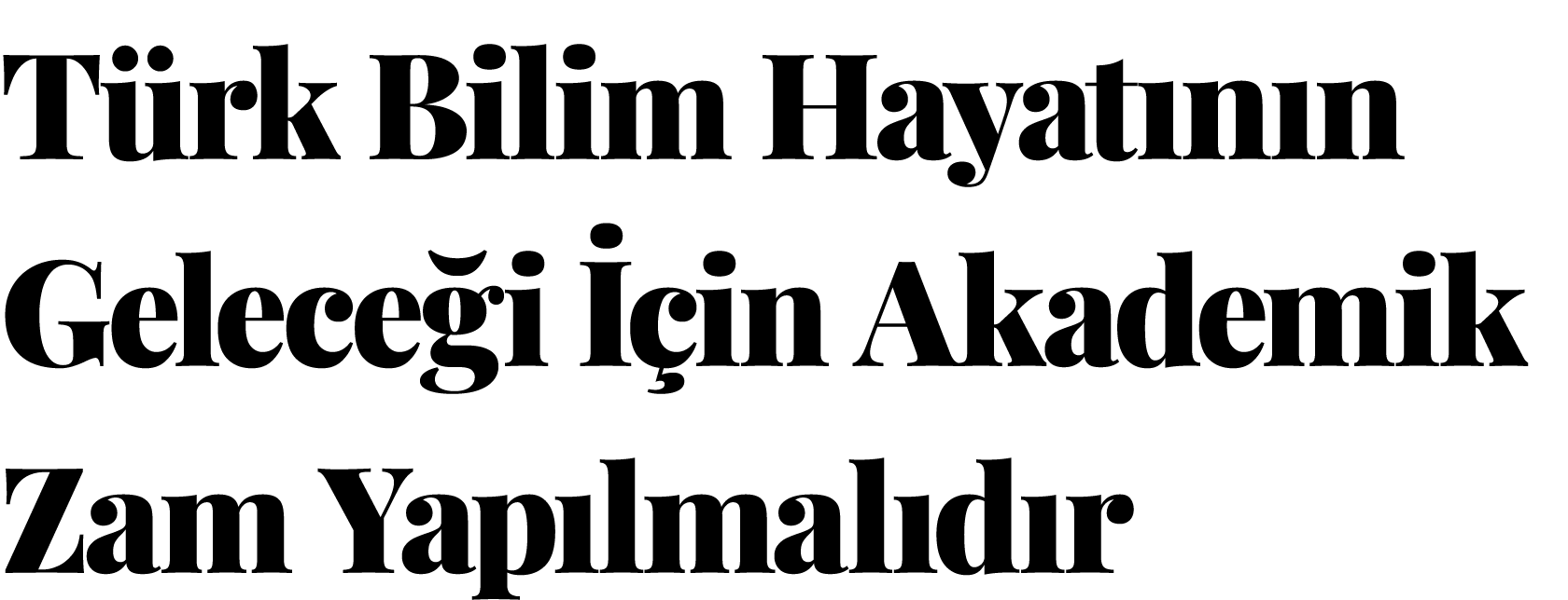 T rk Bilim ﻿Hayat n n Gelece i  in Akademik Zam Yap lmal d r