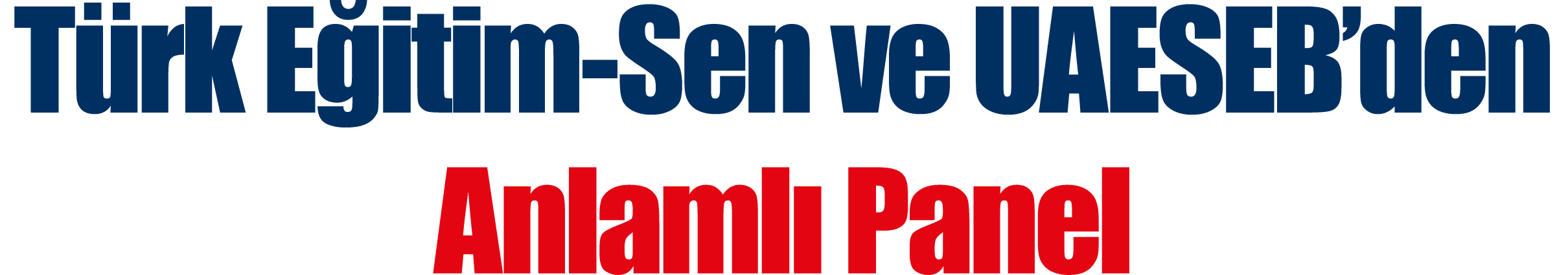 Türk Eğitim-Sen ve UAESEB den Anlamlı Panel  
