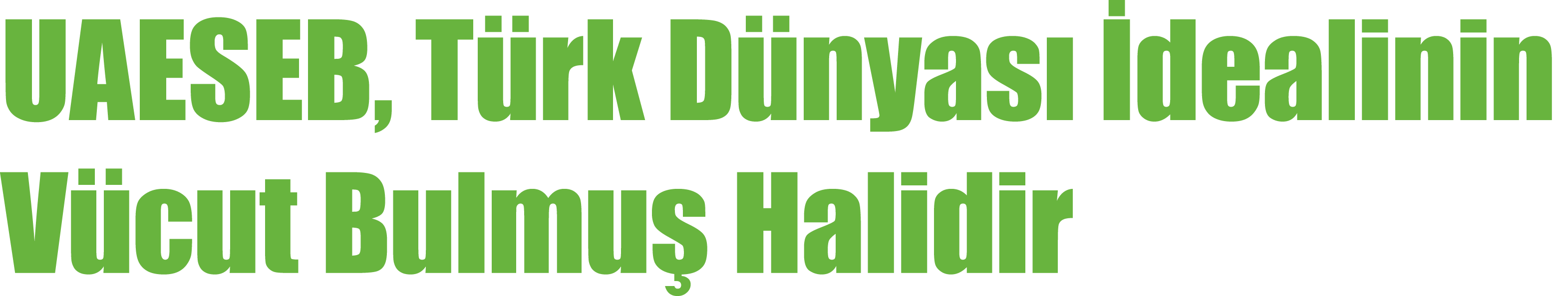 UAESEB, T rk D nyas  dealinin V cut Bulmu  Halidir